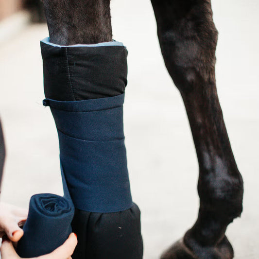Calzado ecuestre Kentucky Magnetic Bandage Pads Recuptex Black para equitación - vista 2