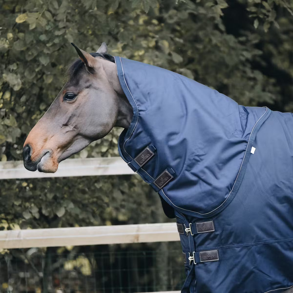 Manta para caballo Kentucky Neck for All Weather impermeable Pro 150g vista principal