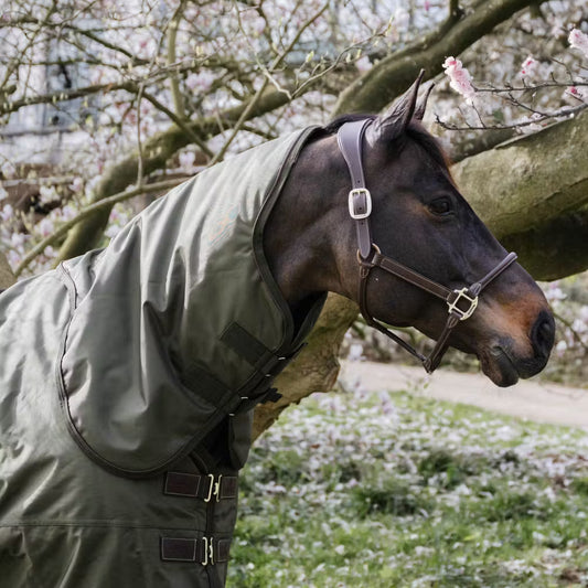 Manta para caballo Kentucky Neck All Weather impermeable Pro 150g Khaki para equitación - vista 2