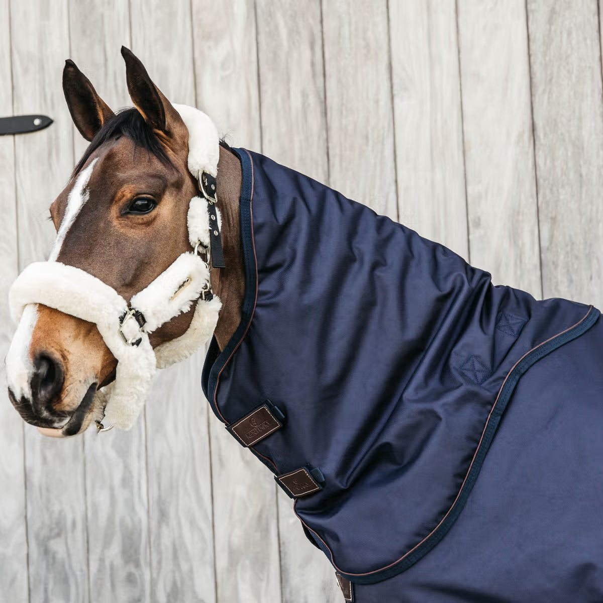 Manta para caballo Kentucky Neck for All Weather impermeable Pro 0g detalle 2