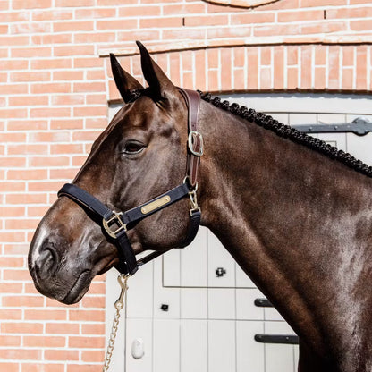 Halters Kentucky Nylon Halter Anatomic detalle 4