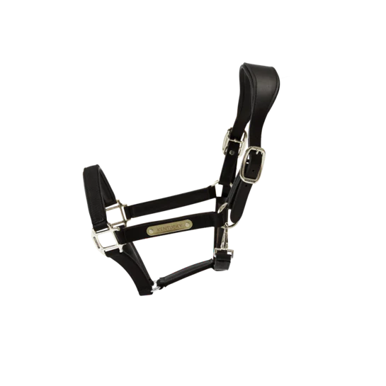 Halters Kentucky Nylon Halter Anatomic vista principal
