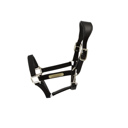Halters Kentucky Nylon Halter Anatomic vista principal