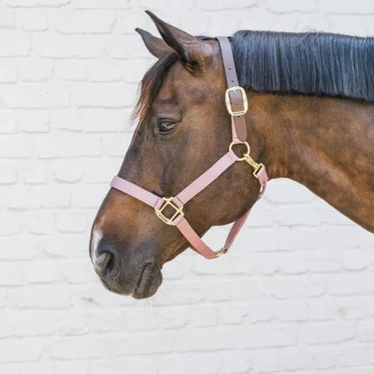 Halters Kentucky Nylon Halter Breakaway vista principal