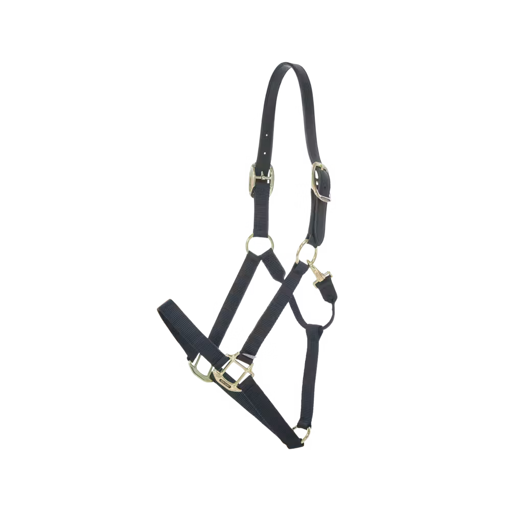 Halters Kentucky Nylon Halter Breakaway detalle 5