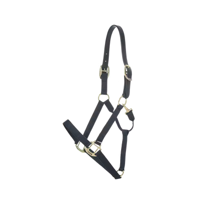 Halters Kentucky Nylon Halter Breakaway detalle 5