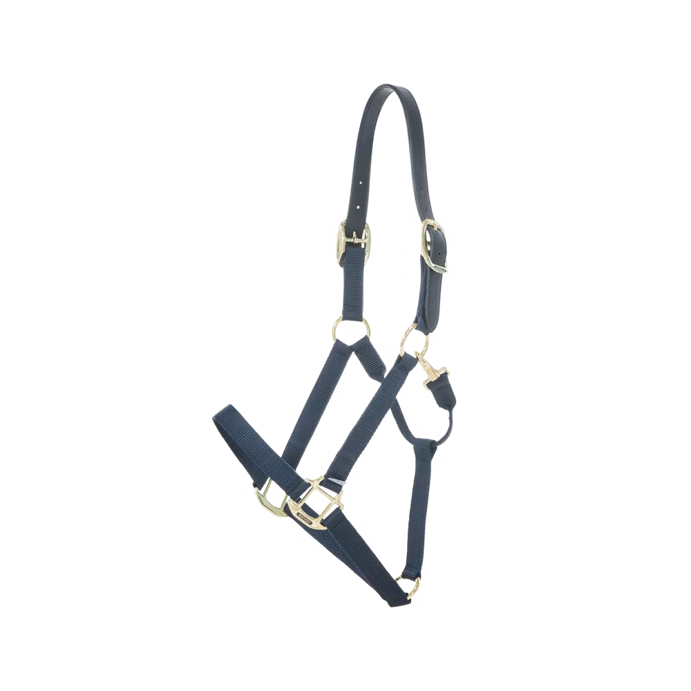 Halters Kentucky Nylon Halter Breakaway detalle 4