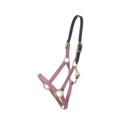 Halters Kentucky Nylon Halter Breakaway detalle 6