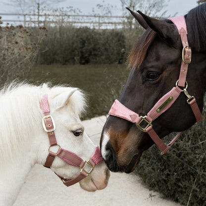 Halters Kentucky Velvet Halter Unicorn Glitter detalle 2
