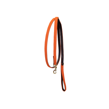 Lead Rope Kentucky Plaited Nylon Dog & caballo Lead detalle 5