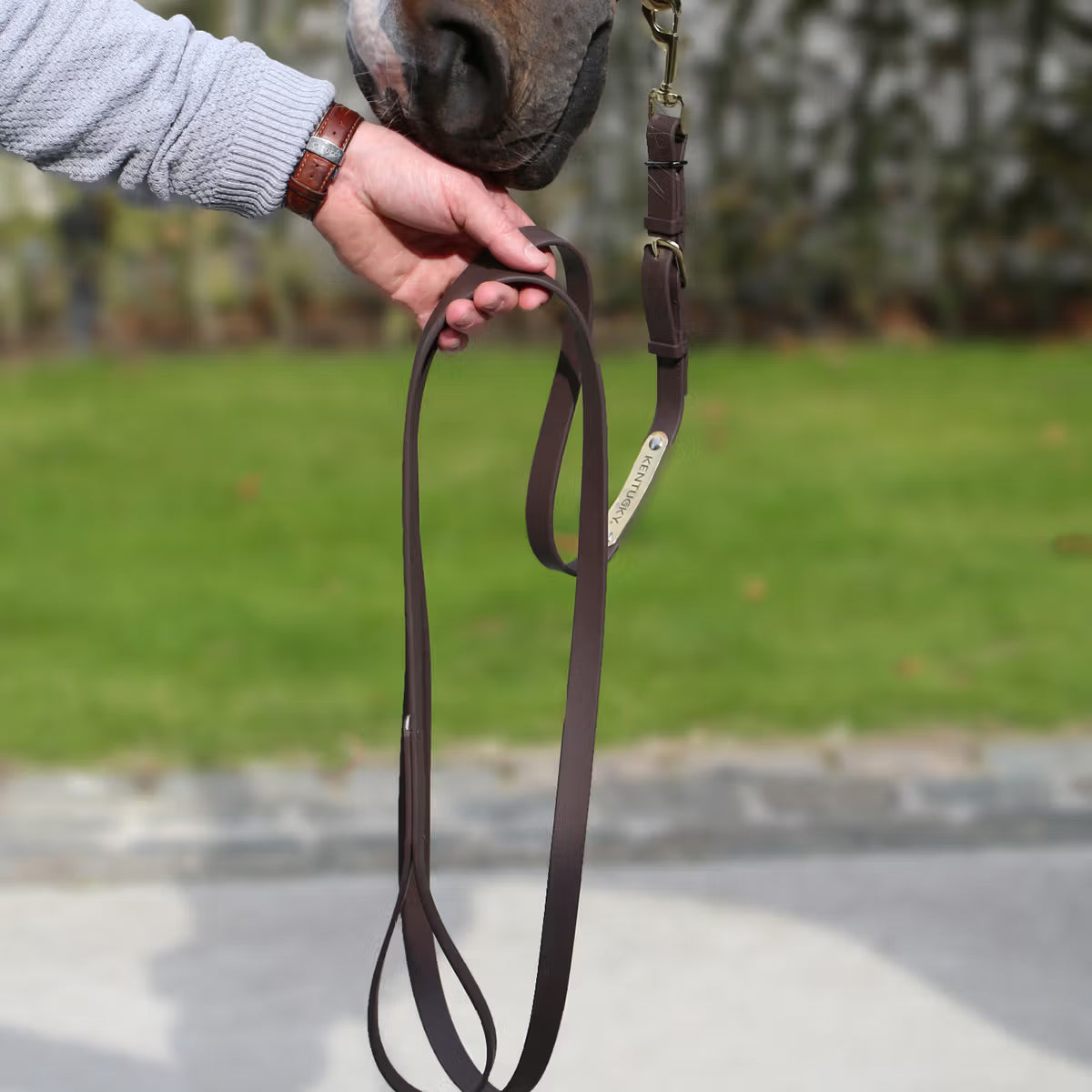 Lead Rope Kentucky Presentation Lead detalle 3