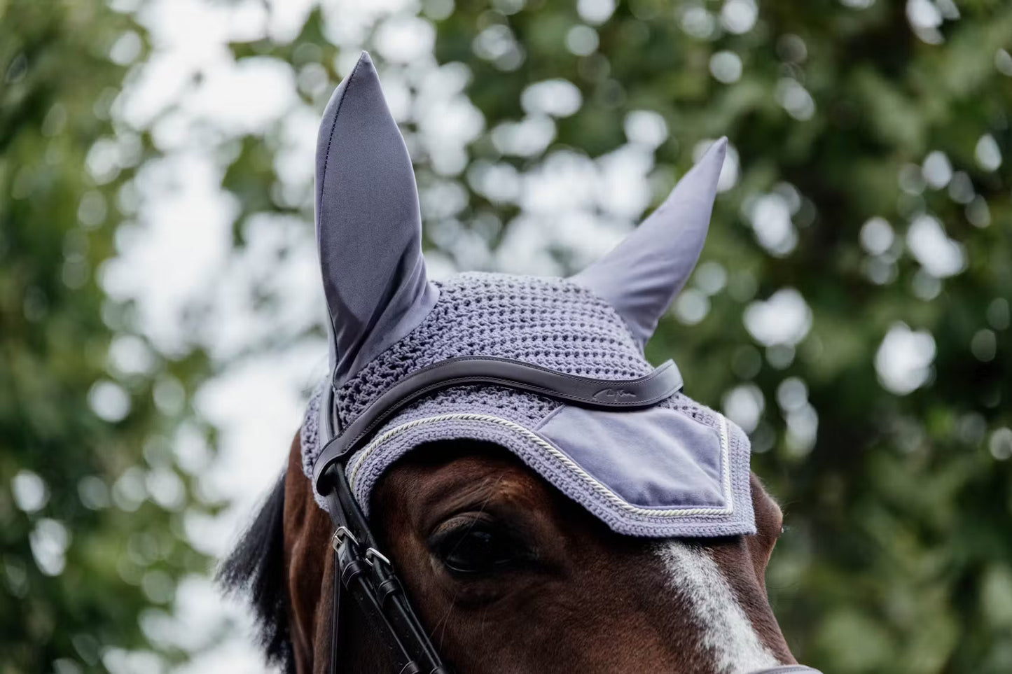 Ear Bonnets Kentucky Ear Bonnet Wellington Velvet detalle 20