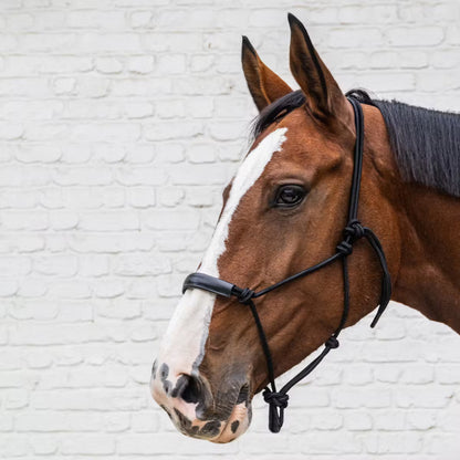 Rope Halters Kentucky Rope Halter detalle 2