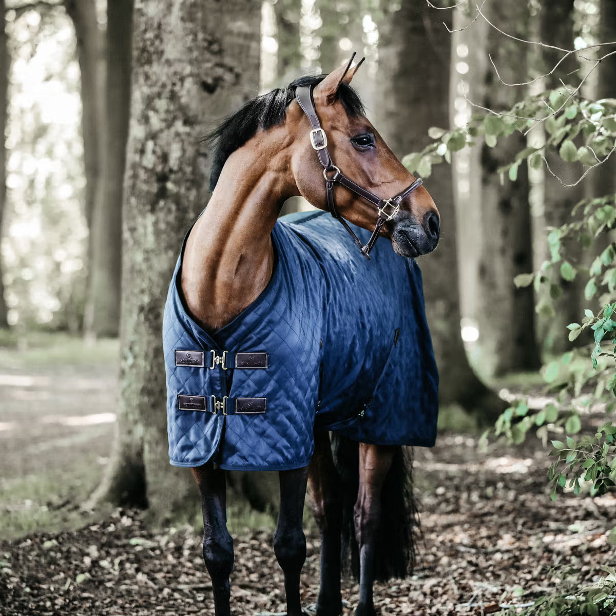 Manta para caballo Kentucky Stable Rug 0g Navy detalle 2