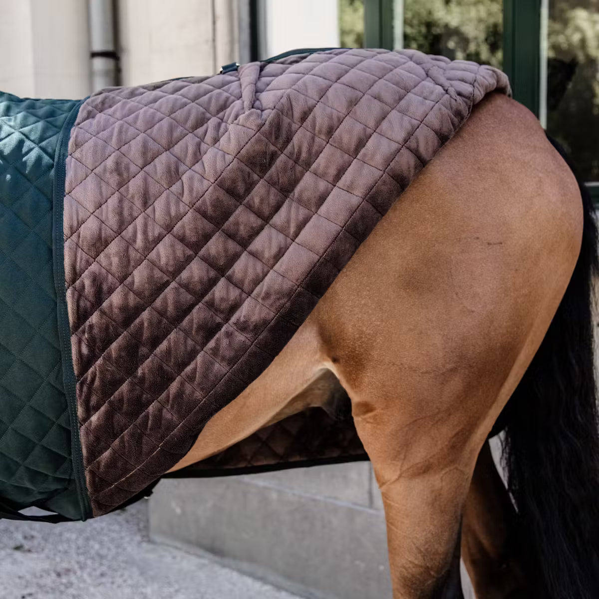 Manta para caballo Kentucky Limited Edition Show Rug Dark Green detalle 4