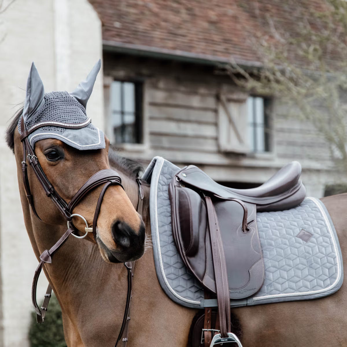 Manta para caballo Kentucky Saddle Pad Basic Velvet Dressage detalle 5