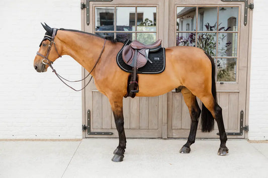 para caballo Kentucky mantilla Rubber Logo Jumping para equitación