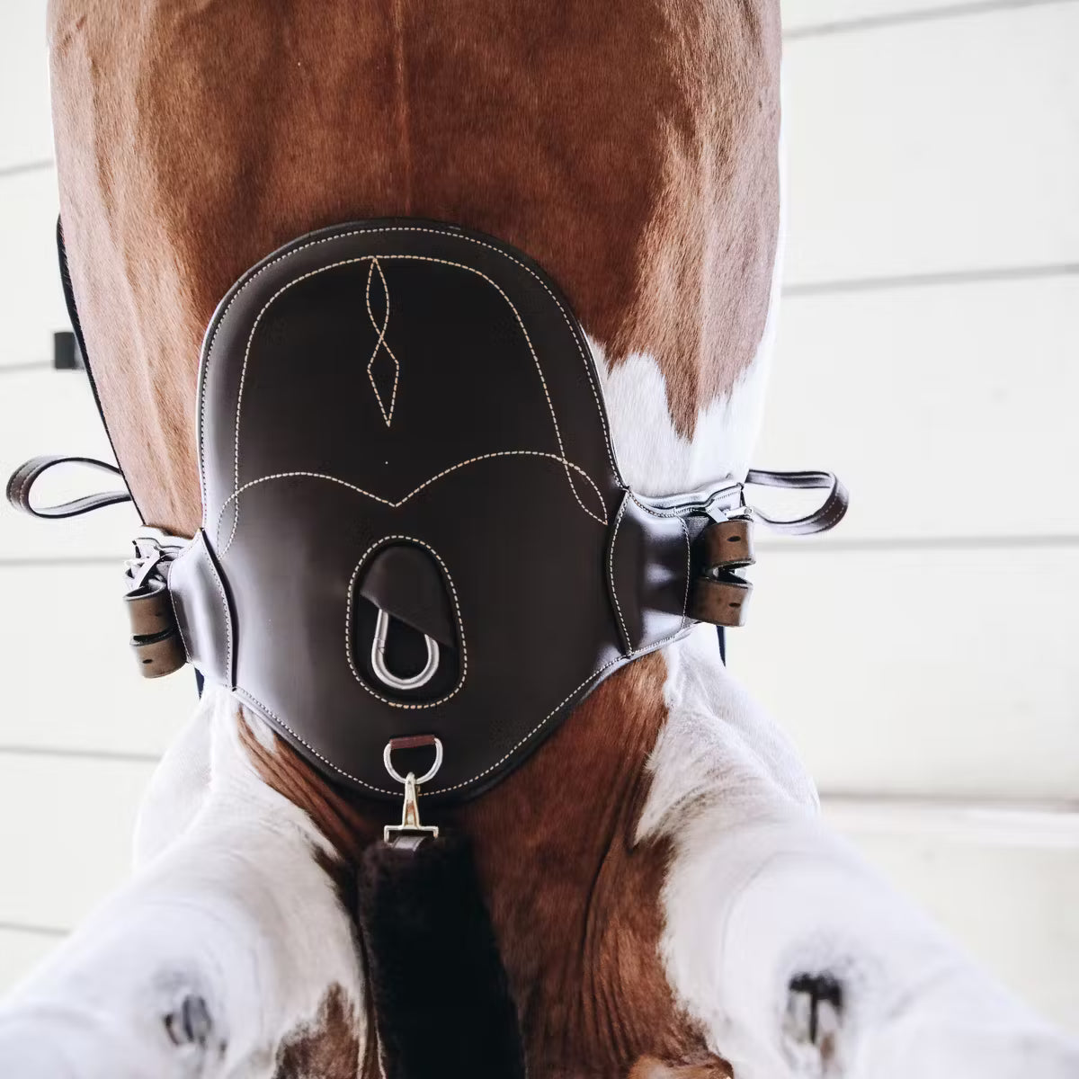 Cincha Kentucky Short Stud Guard Girth detalle 2