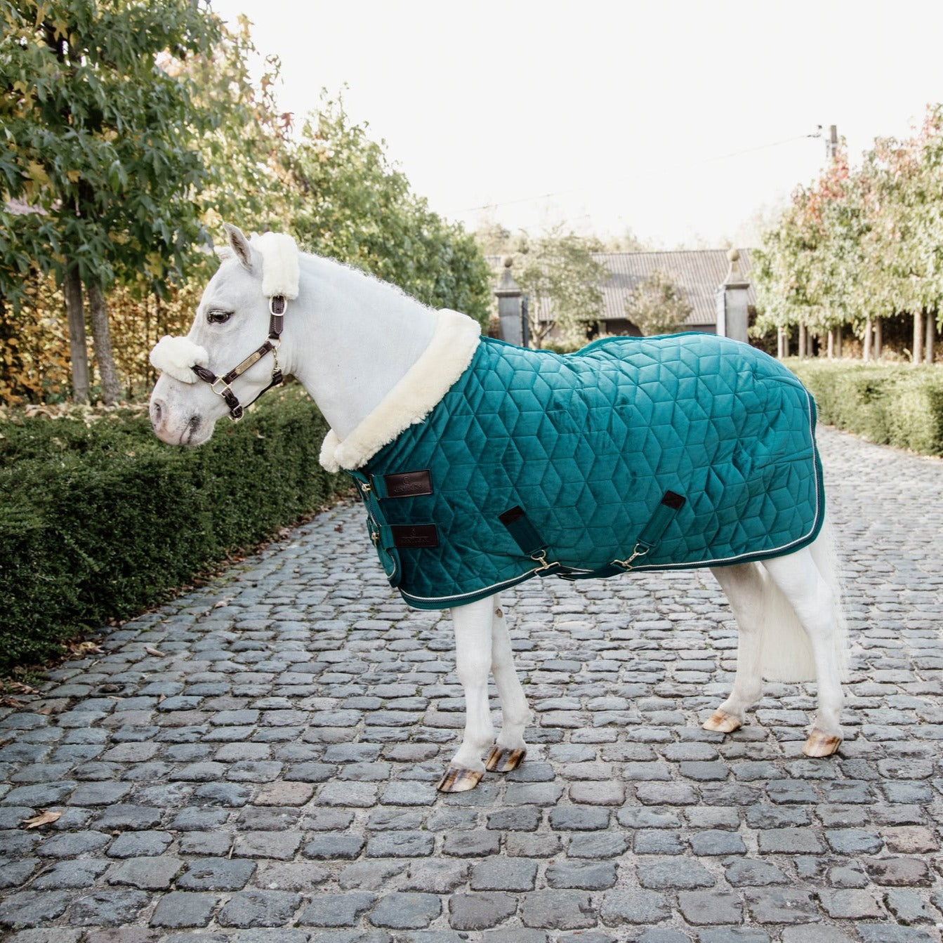 Manta para caballo Kentucky Show Rug Velvet Emerald Tiny vista principal