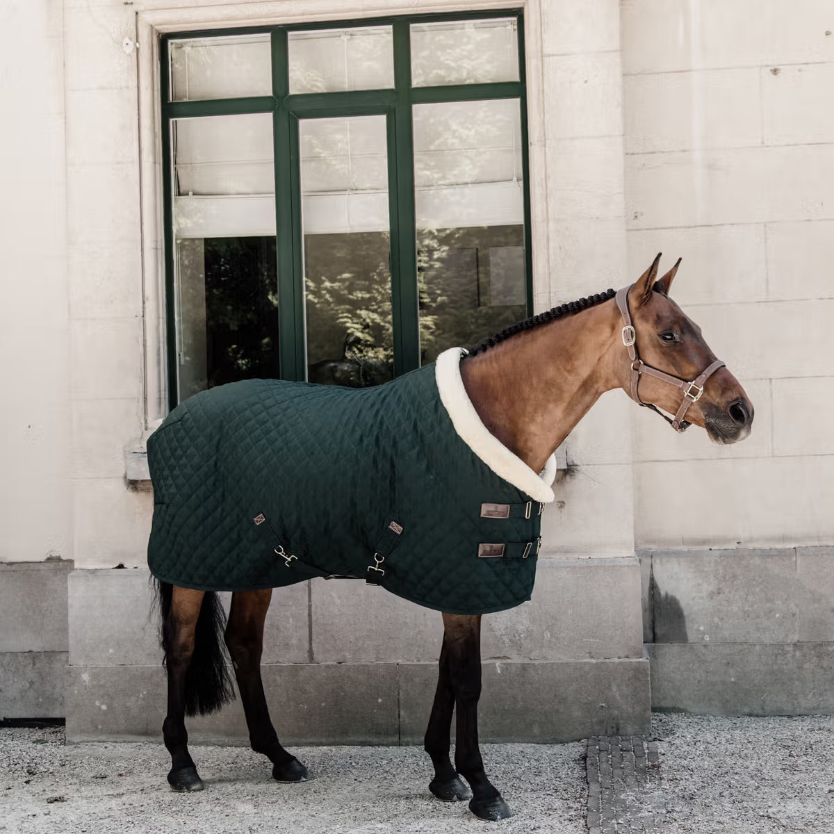 Manta para caballo Kentucky Limited Edition Show Rug Dark Green detalle 2