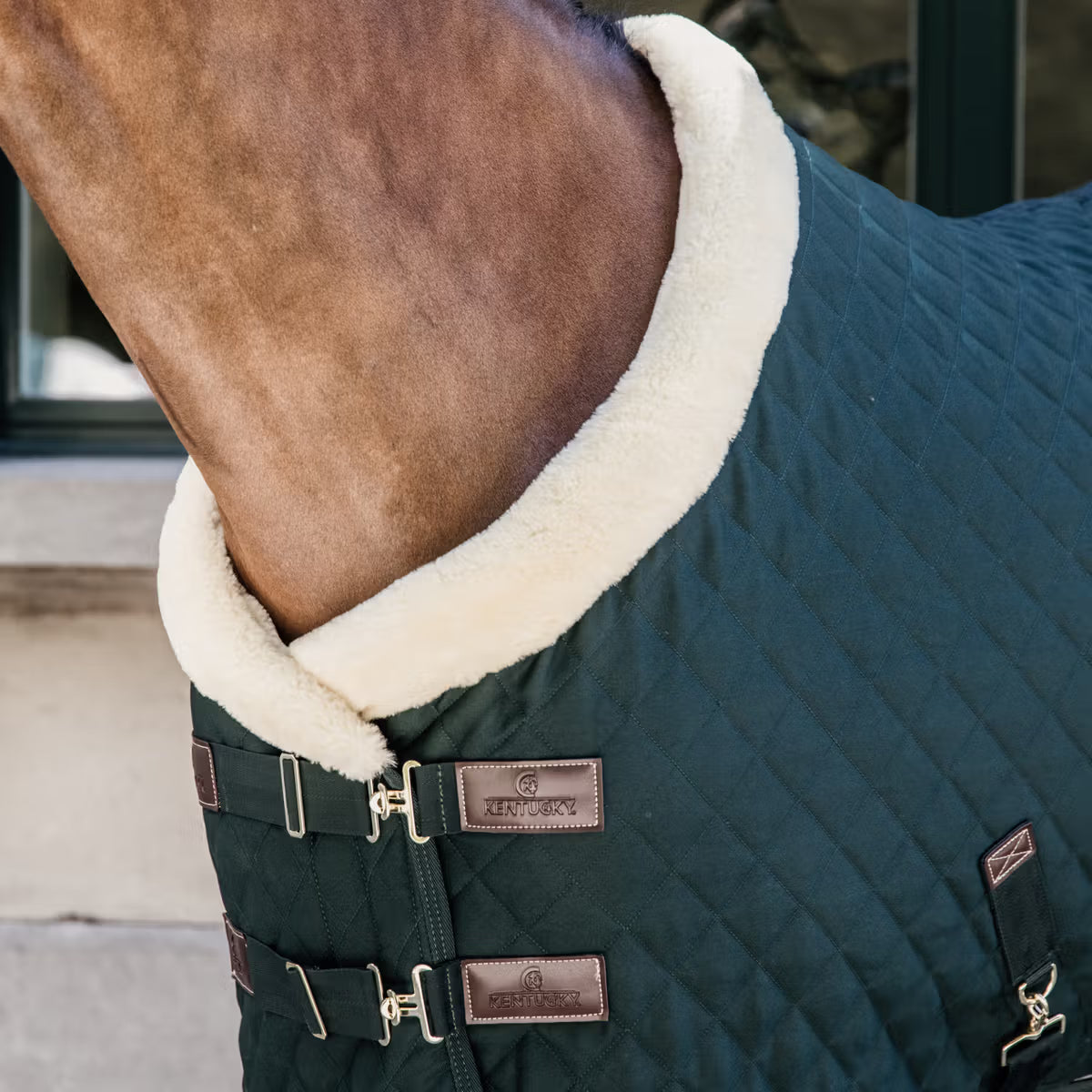 Manta para caballo Kentucky Limited Edition Show Rug Dark Green detalle 3