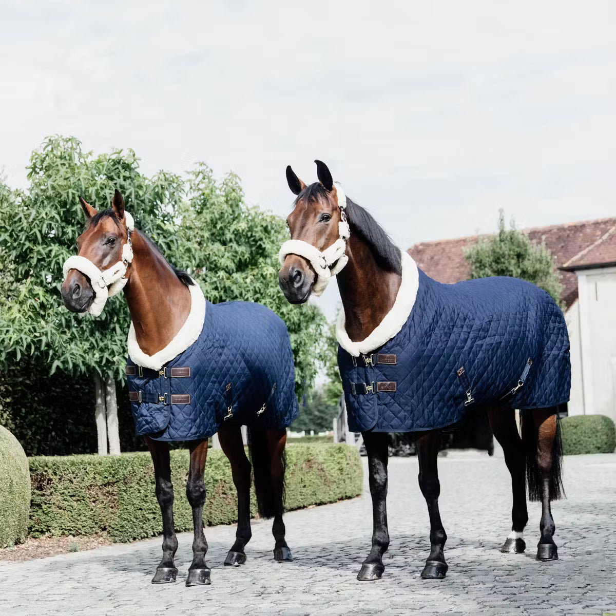 Manta para caballo Kentucky Show Rug Navy detalle 2