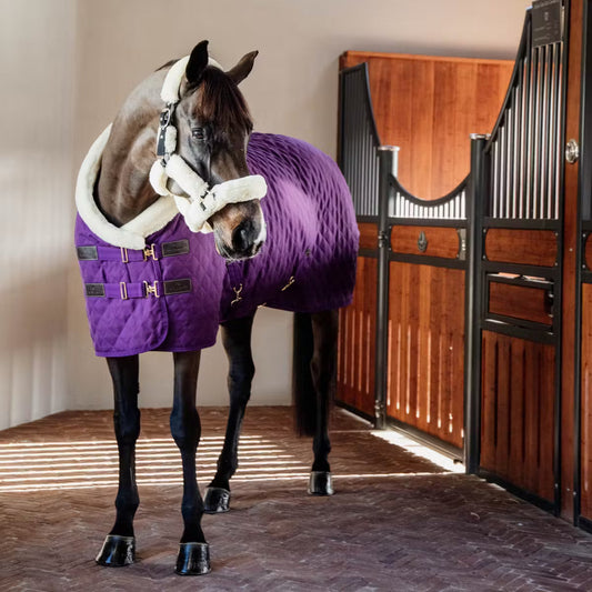 Manta para caballo Kentucky Show manta Royal Purple para equitación - vista 2