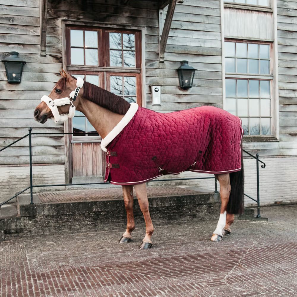 Manta para caballo Kentucky Show Rug Velvet Bordeaux detalle 2