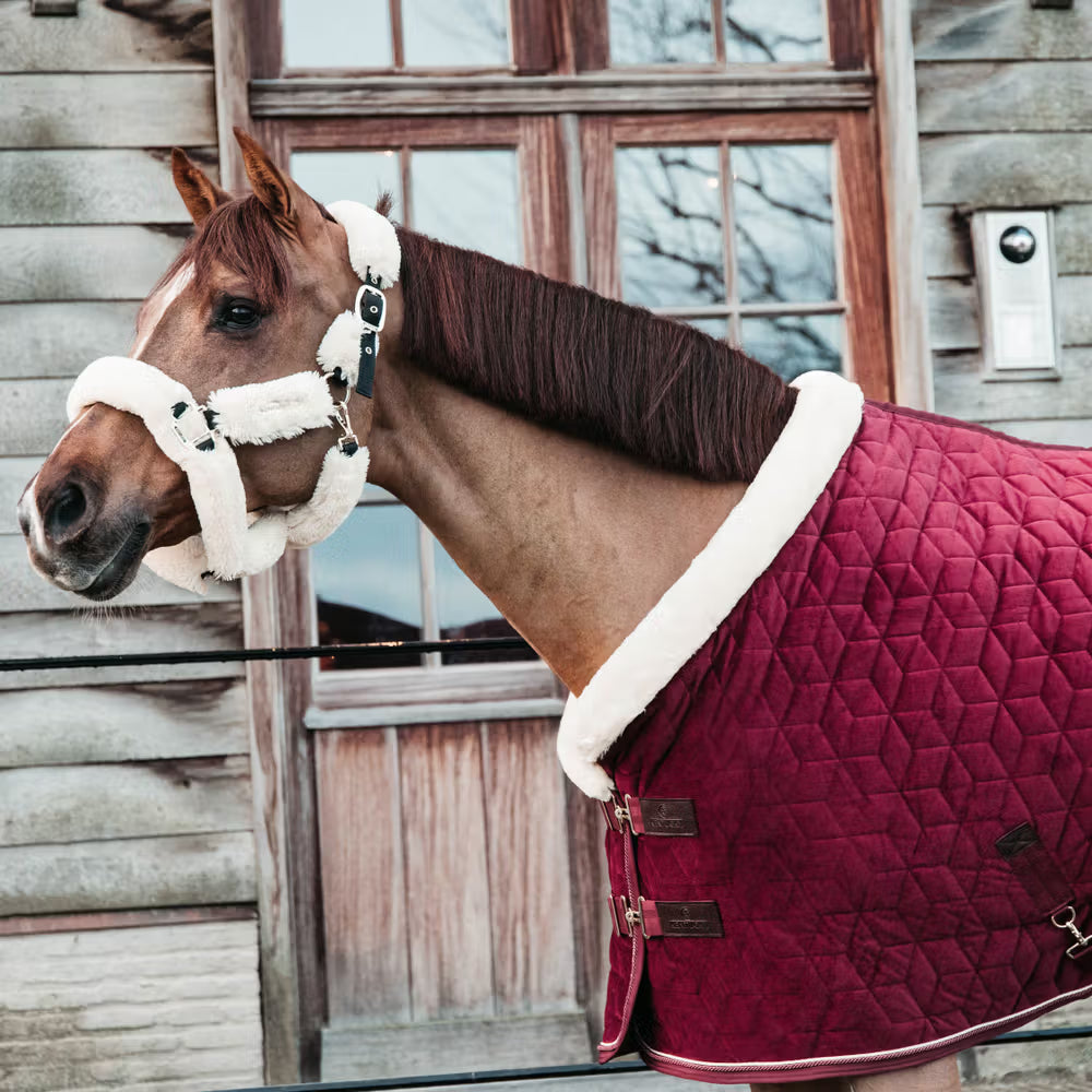 Manta para caballo Kentucky Show Rug Velvet Bordeaux detalle 3