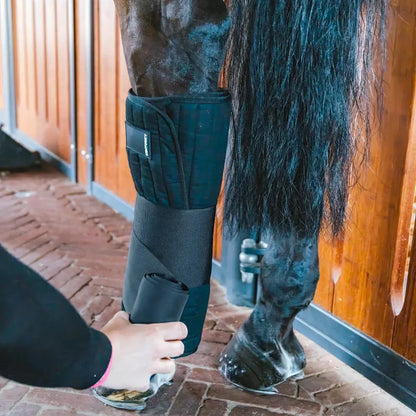 Calzado ecuestre Kentucky Stable Bandage Wraps vista principal