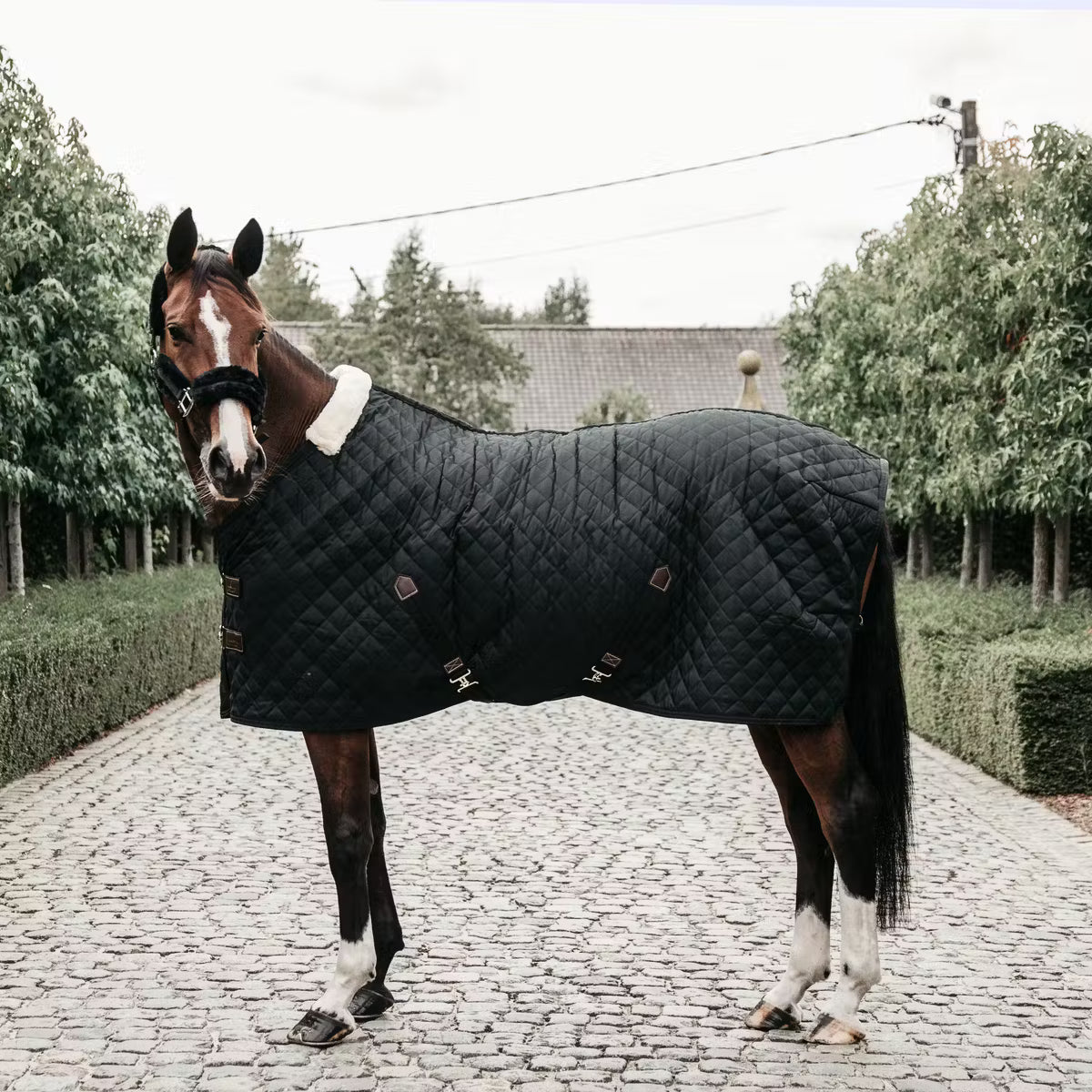 Manta para caballo Kentucky Stable Rug Black 400g detalle 2