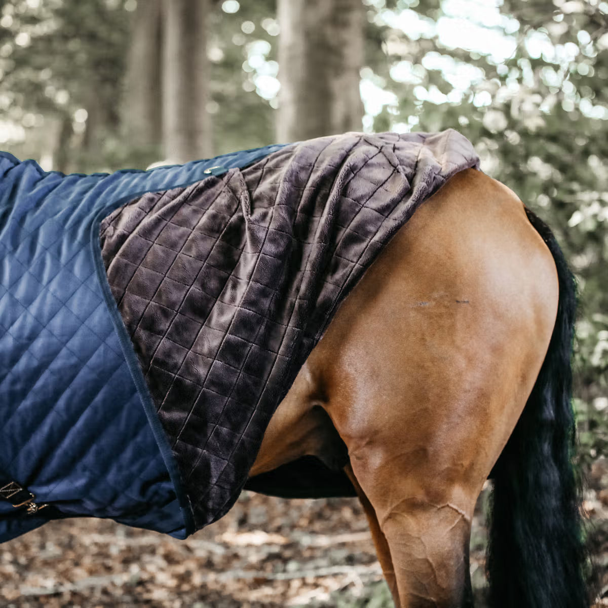 Manta para caballo Kentucky Stable Rug 0g Navy detalle 3