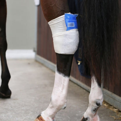 Protector ecuestre Kentucky Tendon Grip Sock detalle 2