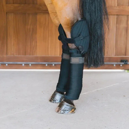 Calzado ecuestre Kentucky Transport Stable Bandage Pads con Hock Protection para equitación