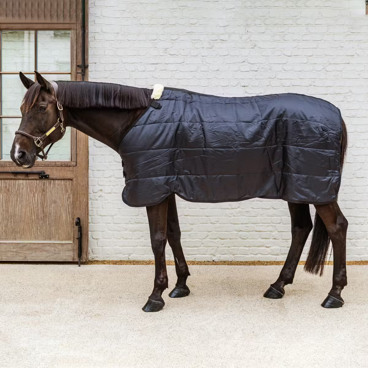 Manta para caballo Kentucky Turnout Rug Comfort Liner 300gr detalle 2