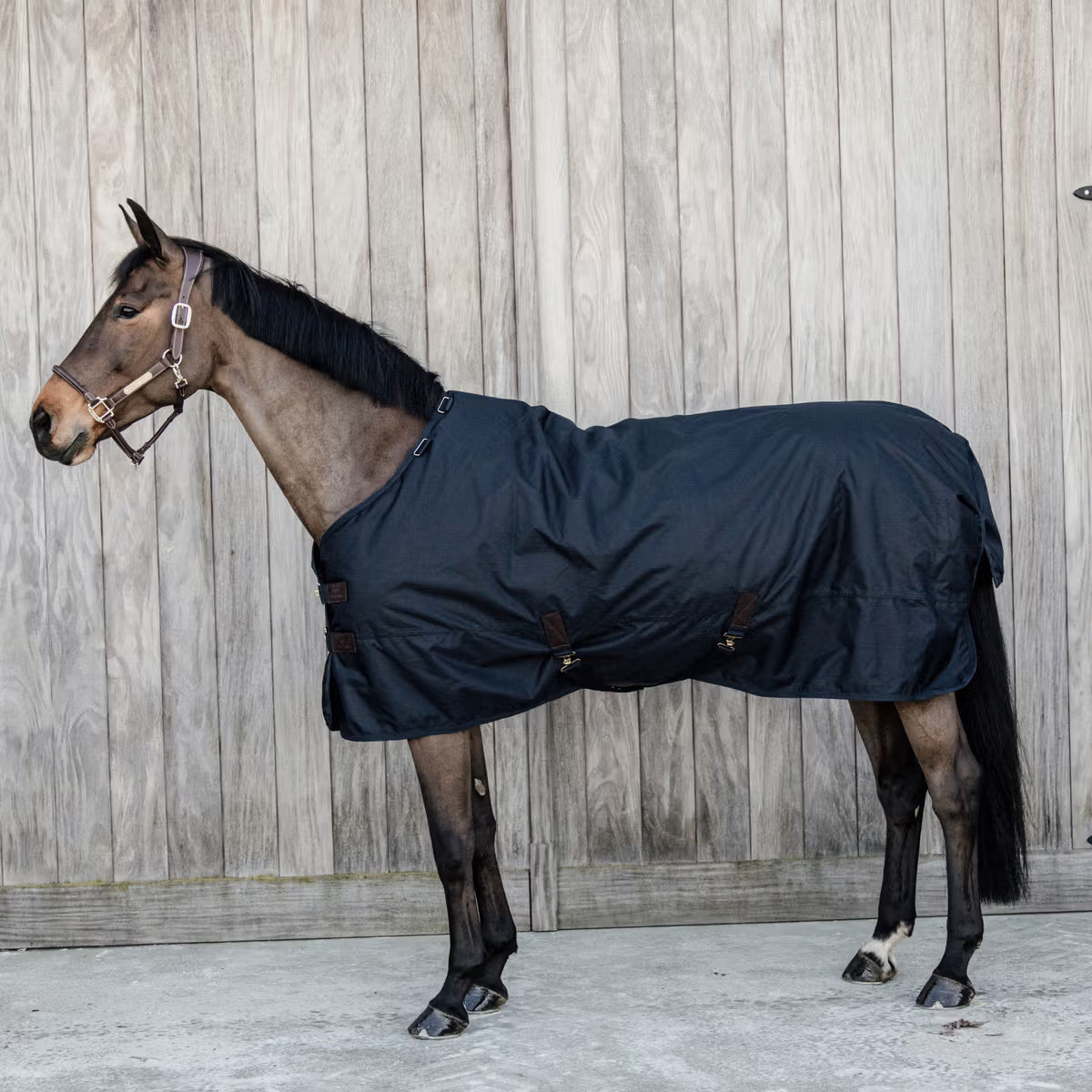 Manta para caballo Kentucky Turnout Rug All Weather impermeable Classic 300g detalle 2