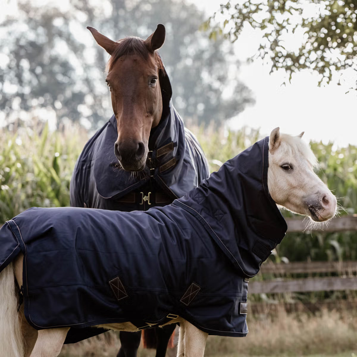 Manta para caballo Kentucky Turnout Rug All Weather impermeable Pro 300g Tiny detalle 3