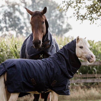 Manta para caballo Kentucky Turnout Rug All Weather impermeable Pro 300g Tiny detalle 3