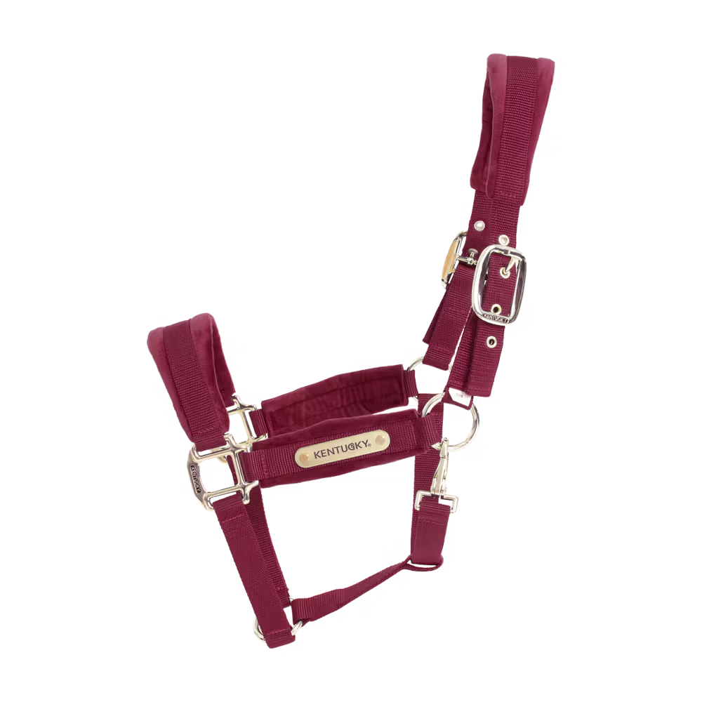 Halters Kentucky Velvet Halter detalle 3
