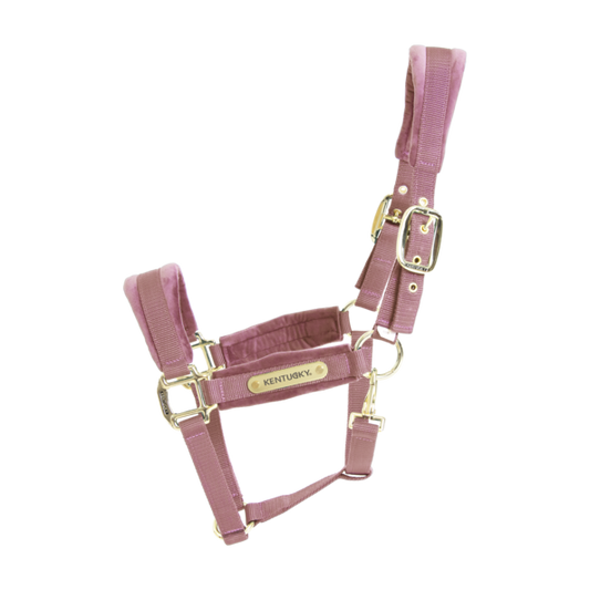 Cabezada de cuadras Kentucky Velvet cabezada de cuadra para equitación