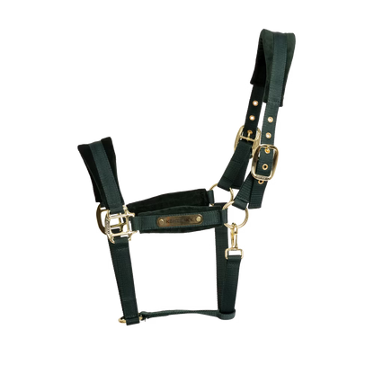 Halters Kentucky Velvet Halter detalle 9