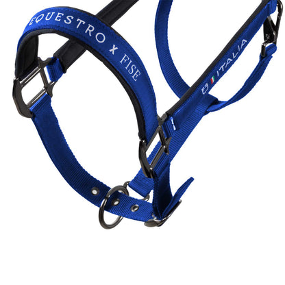 Cabezada acolchada de doble regulación Equestro X FISE - Azzurro Savoia
