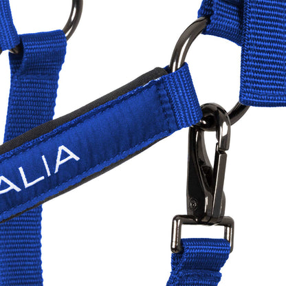 Cabezada acolchada de doble regulación Equestro X FISE - Azzurro Savoia