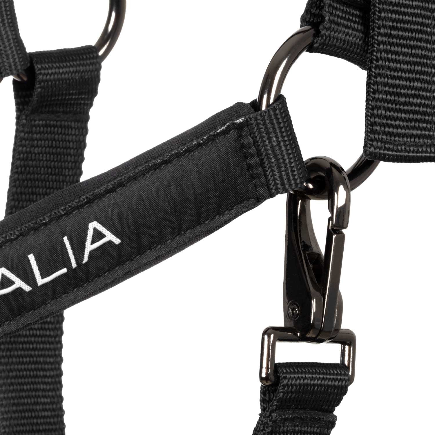 Cabezada acolchada de doble regulación Equestro X FISE - Negro