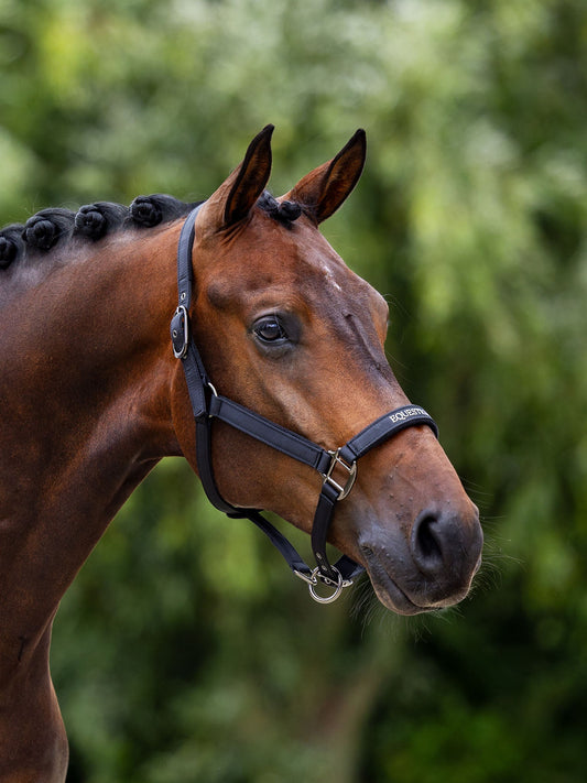 Line cabezada de cuadra Equestrian Stockholm Line cabezada de cuadra Black para equitación - vista 2