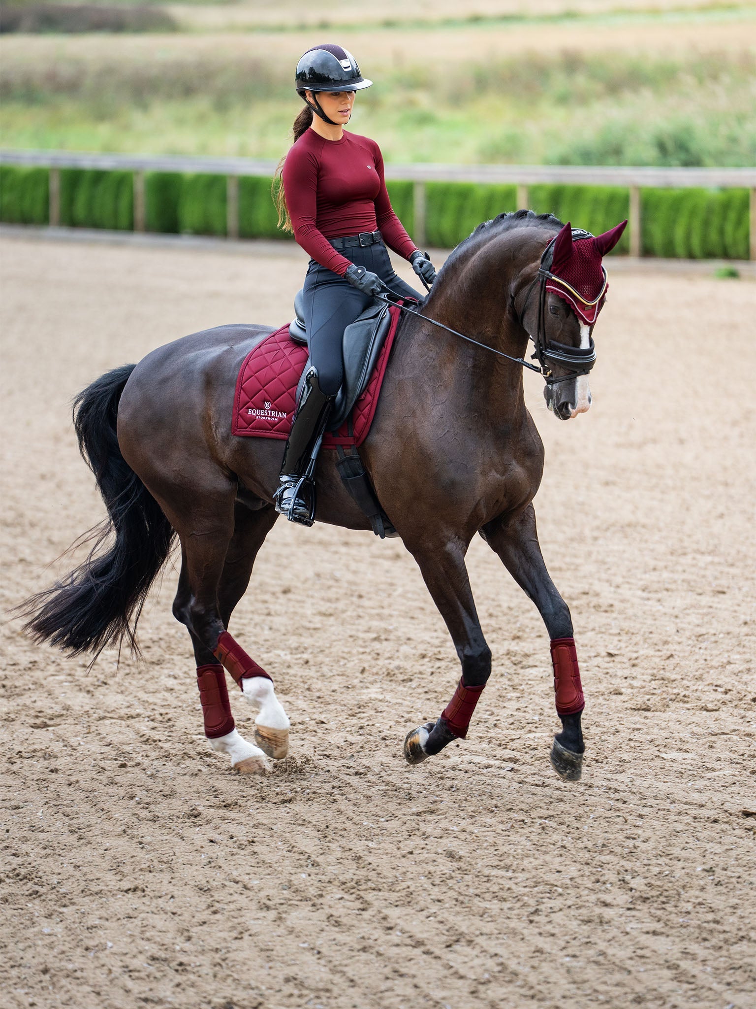 Dressage Saddle Pad Equestrian Stockholm Dressage Saddle Pad Line Bordeaux detalle 7