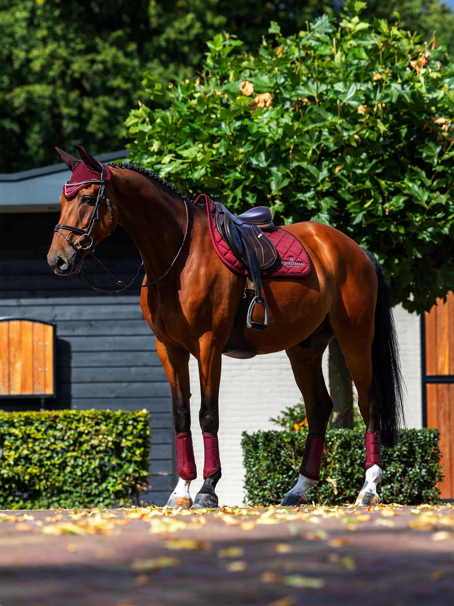 Jump Saddle Pad Equestrian Stockholm Jump Saddle Pad Line Bordeaux detalle 7