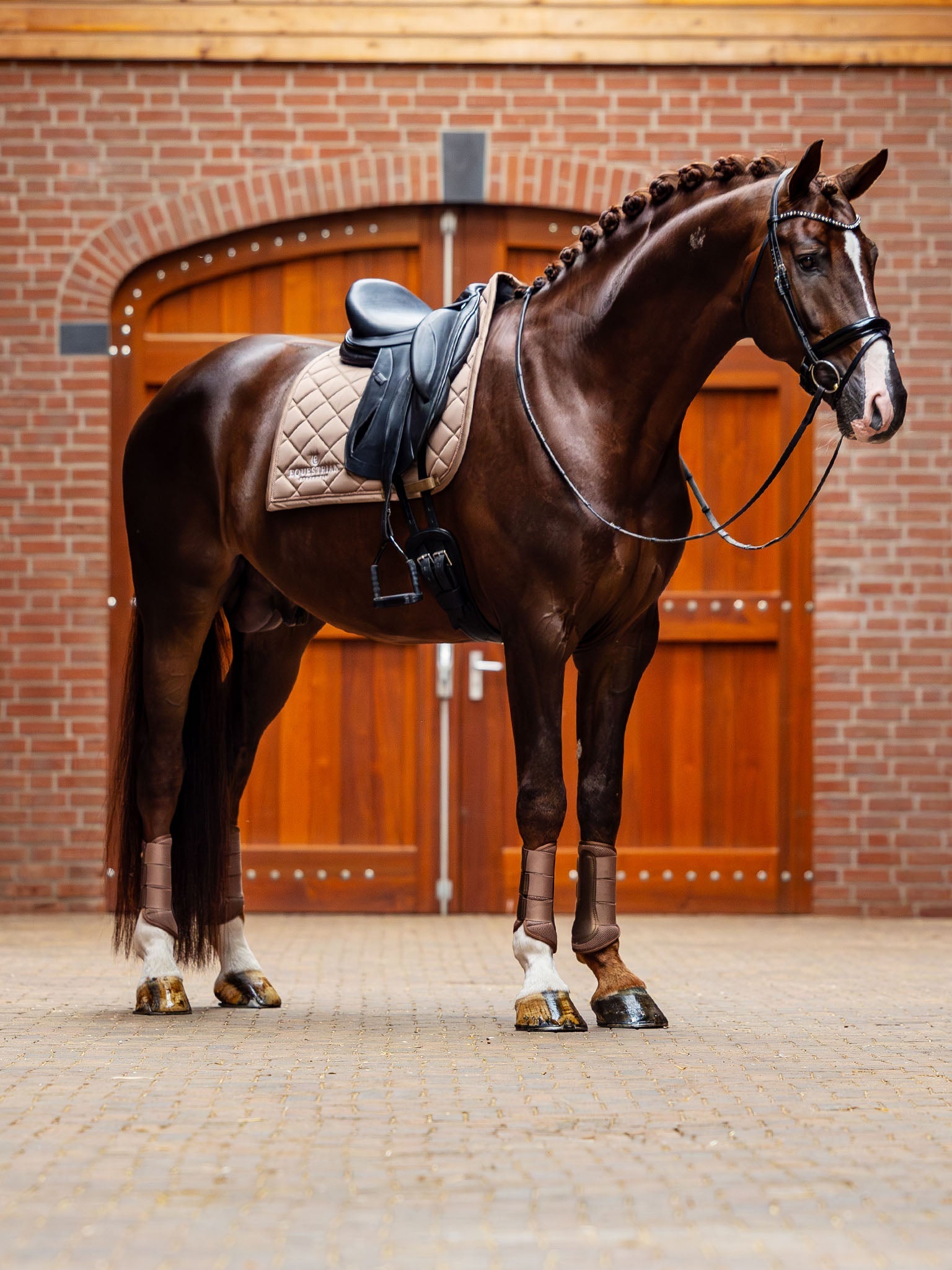 Calzado ecuestre Equestrian Stockholm Mesh Brushing Boots Champagne detalle 6