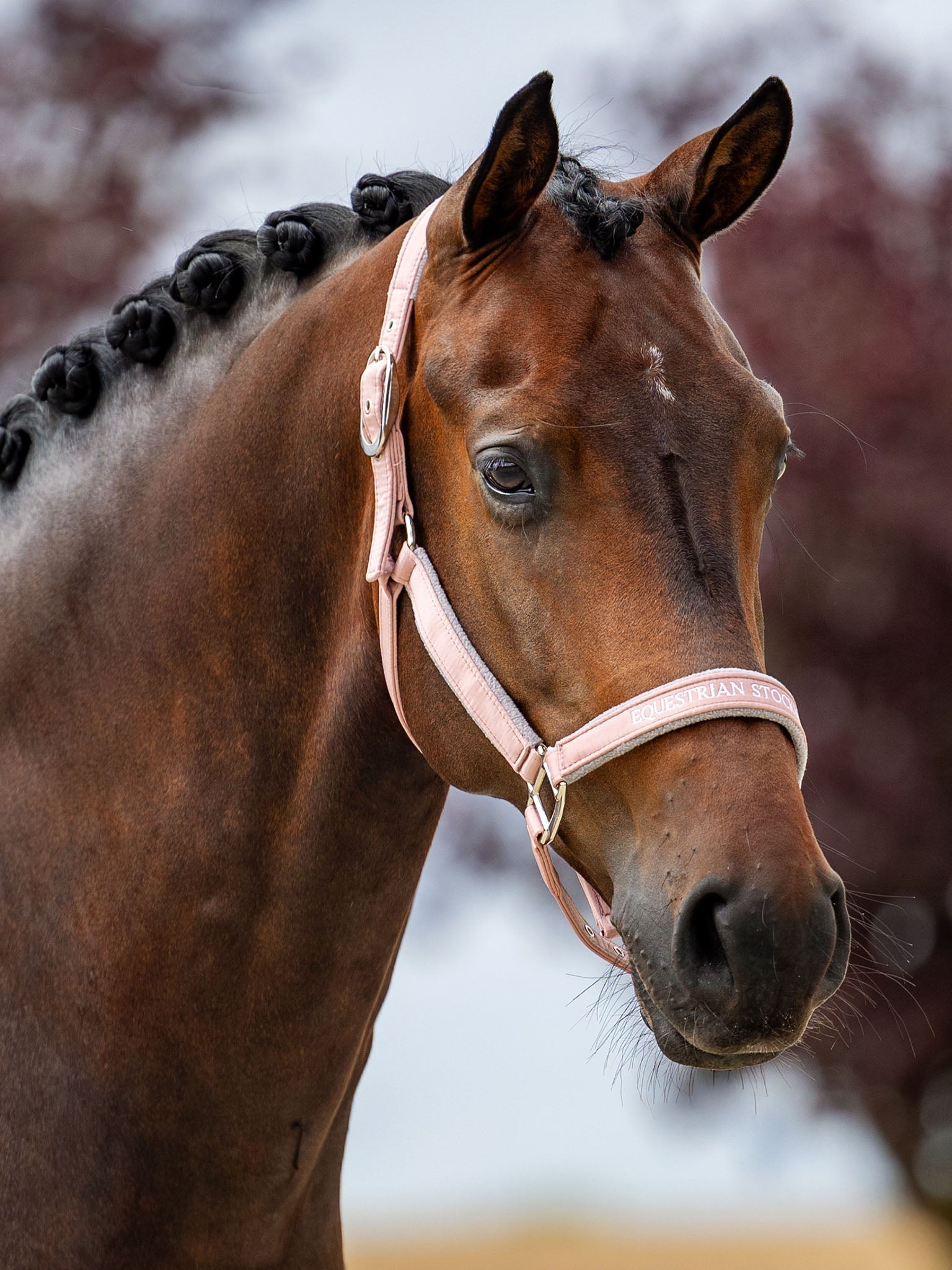 Line Halter Equestrian Stockholm Line Halter Pink detalle 2