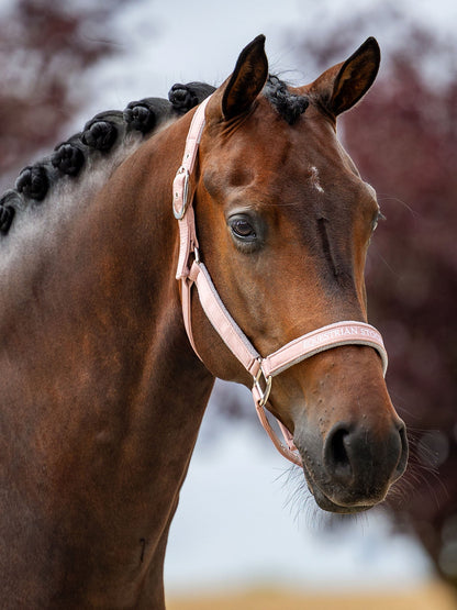 Line Halter Equestrian Stockholm Line Halter Pink detalle 2